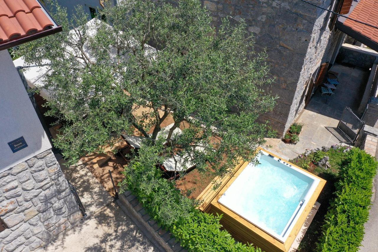 Villa Fani With Jacuzzi Ičići エクステリア 写真