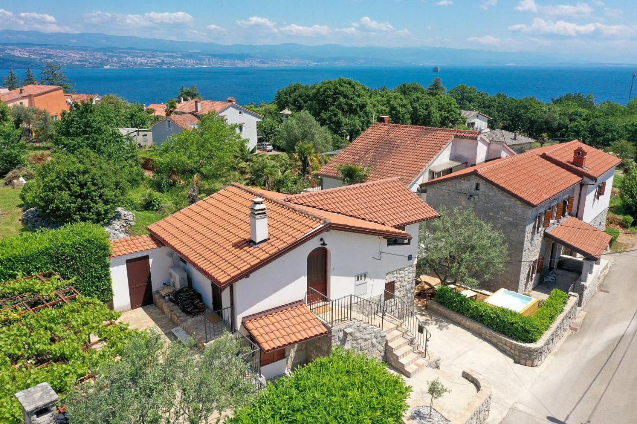 Villa Fani With Jacuzzi Ičići エクステリア 写真